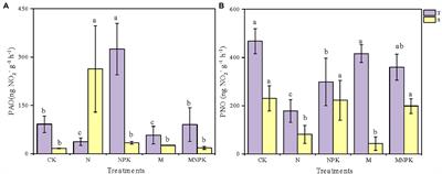 Differential responses of canonical nitrifiers and comammox Nitrospira to long-term fertilization in an Alfisol of Northeast China